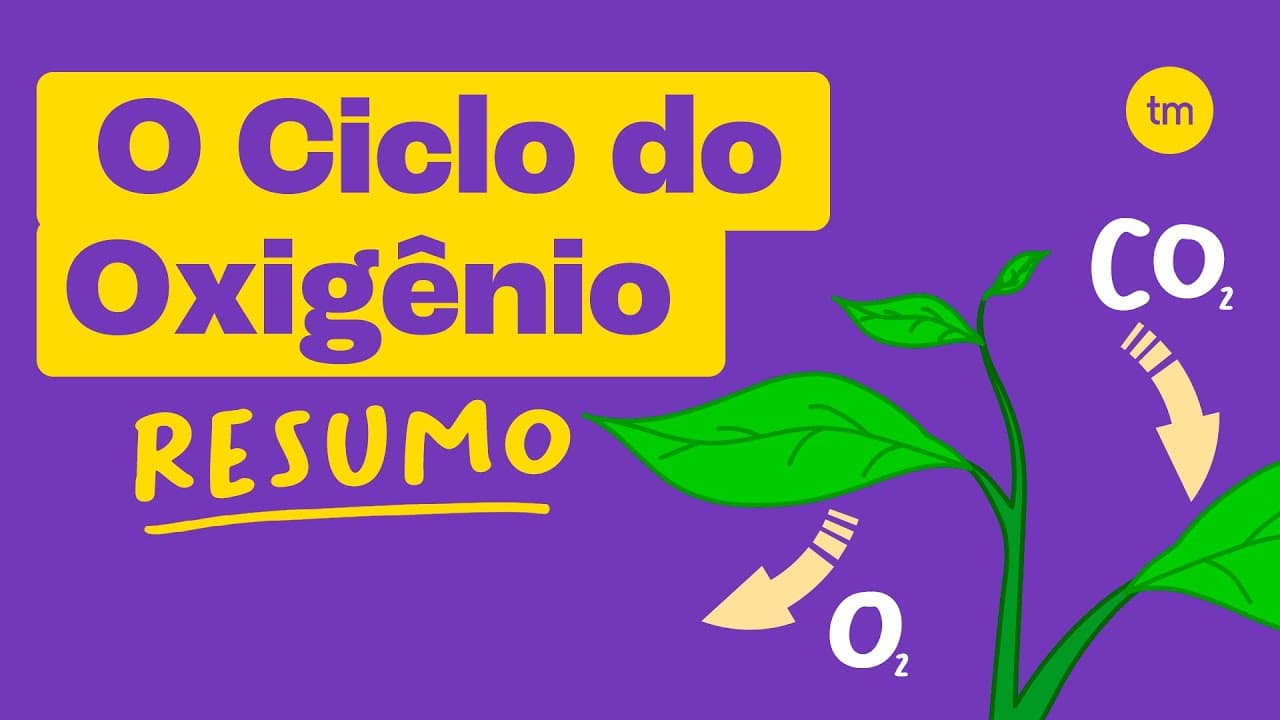 Thumbnail: CICLO DO OXIGÊNIO | Entenda em poucos minutos