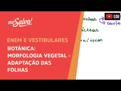 Thumbnail da aula: Me Salva! BOT42 - Botânica - Morfologia vegetal: adaptações das folhas