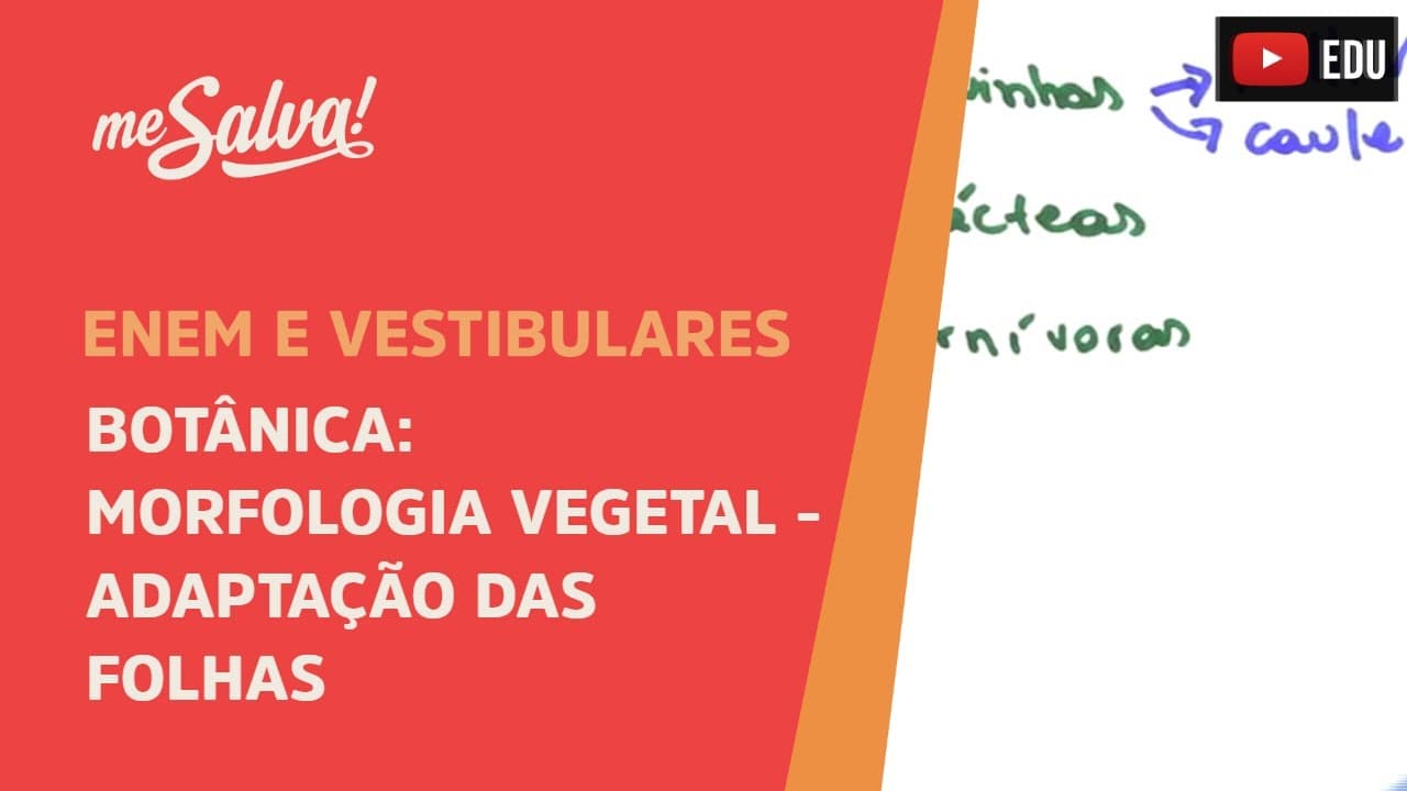 Thumbnail: Me Salva! BOT42 - Botânica - Morfologia vegetal: adaptações das folhas