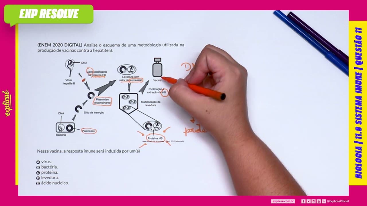 Thumbnail: ANALISE O ESQUEMA DE UMA METODOLOGIA UTILIZADA NA PRODUÇÃO DE VACINAS CONTRA (...) | SISTEMA IMUNE