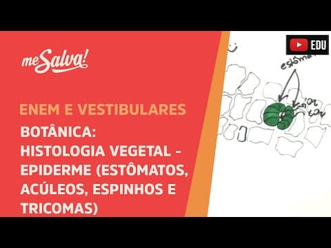 Thumbnail da aula: Me Salva! BOT20 - Botânica - Histologia vegetal: epiderme (estômatos, acúleos, espinhos e tricomas).