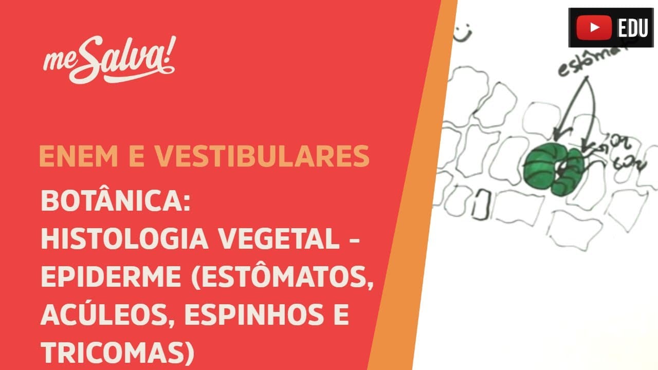 Thumbnail: Me Salva! BOT20 - Botânica - Histologia vegetal: epiderme (estômatos, acúleos, espinhos e tricomas).