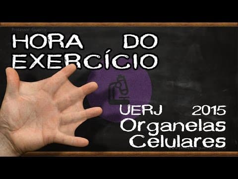 Thumbnail da aula: Organelas celulares - UERJ 2015