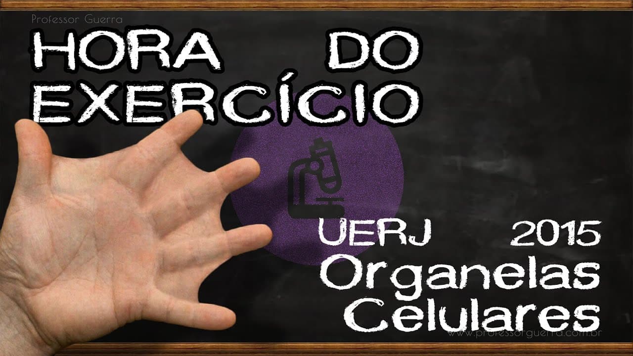 Thumbnail: Organelas celulares - UERJ 2015