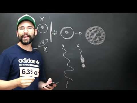 Thumbnail da aula: ENEM 2022 questão 125 prova azul Biologia