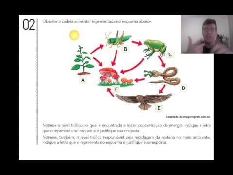 Thumbnail da aula: UERJ 2015 - Biologia Específica - Questão 02
