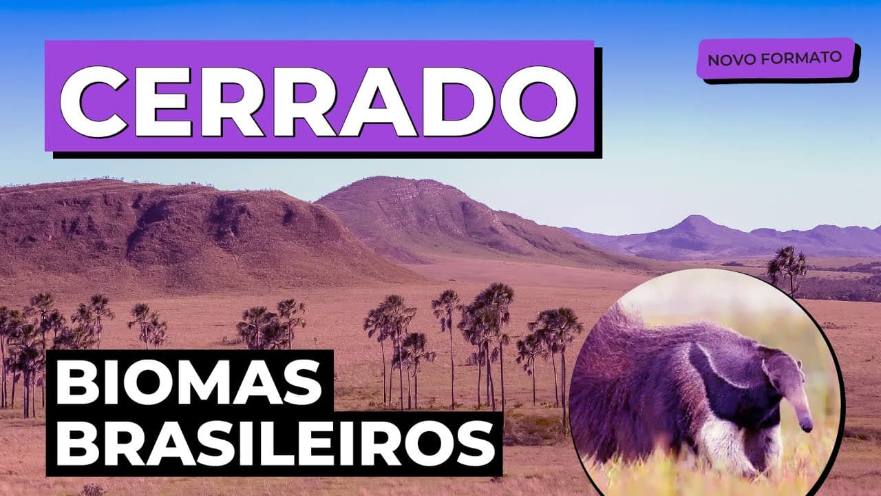 Thumbnail: BIOMAS BRASILEIROS: Cerrado | Biologia para o Enem e o Encceja | Cláudia de Souza Aguiar