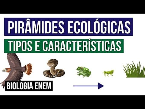 Thumbnail da aula: PIRÂMIDES ECOLÓGICAS: tipos e características | Biologia para o Enem | Cláudia de Souza Aguiar