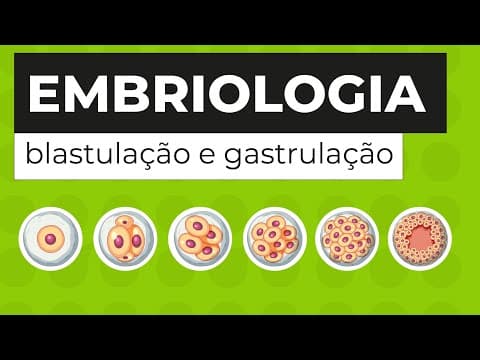 Thumbnail da aula: EMBRIOLOGIA: blastulação e gastrulação | Biologia para o Enem | Cláudia de Souza Aguiar