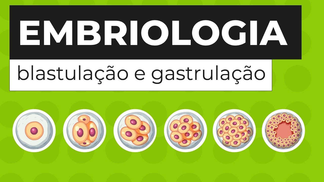 Thumbnail: EMBRIOLOGIA: blastulação e gastrulação | Biologia para o Enem | Cláudia de Souza Aguiar