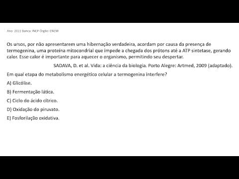 Thumbnail da aula: ENEM 2022 - Os ursos, por não apresentarem uma hibernação verdadeira, acordam por causa da...