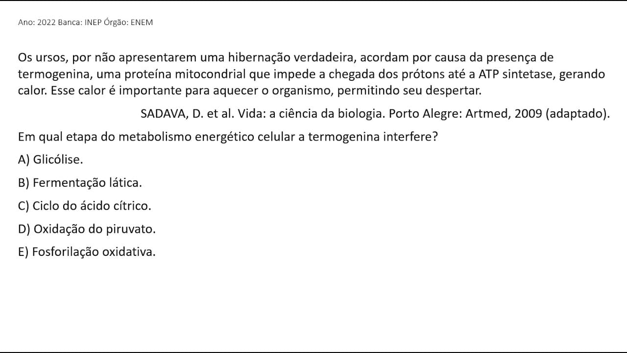 Thumbnail: ENEM 2022 - Os ursos, por não apresentarem uma hibernação verdadeira, acordam por causa da...
