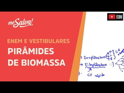 Thumbnail da aula: Me Salva! ECO16 - Ecologia - Pirâmides de biomassa