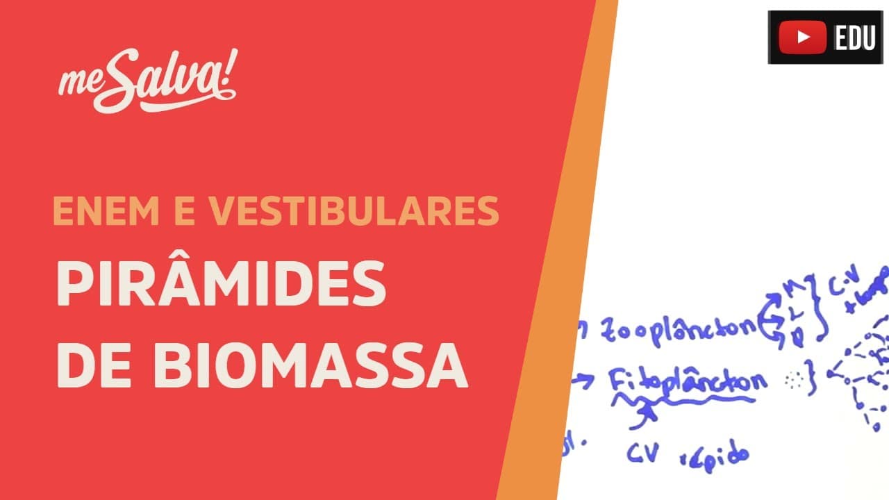 Thumbnail: Me Salva! ECO16 - Ecologia - Pirâmides de biomassa