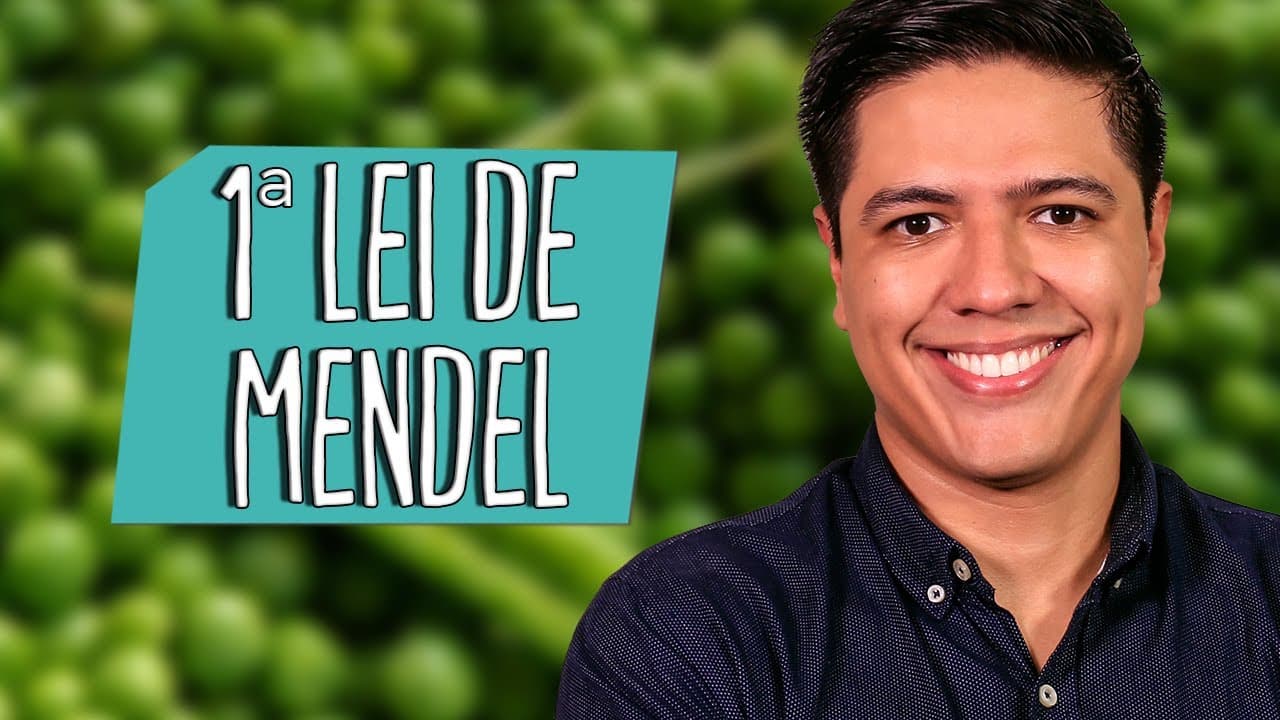 Thumbnail: 1ª LEI DE MENDEL - Genética - Prof. Kennedy Ramos