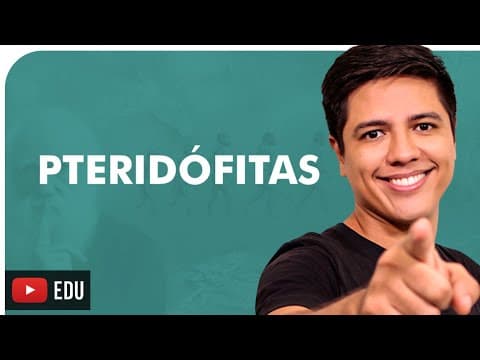 Thumbnail da aula: PTERIDÓFITAS - BOTÂNICA - Prof. Kennedy Ramos