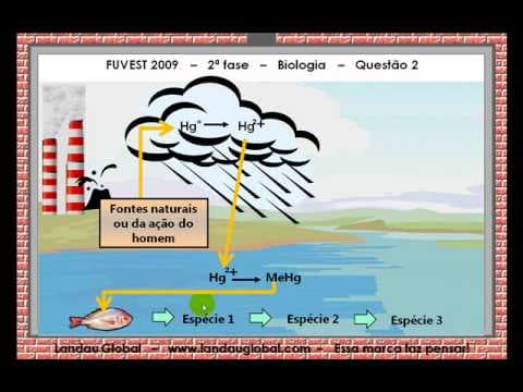 Thumbnail da aula: USP_2009_BIO_P2_Q2