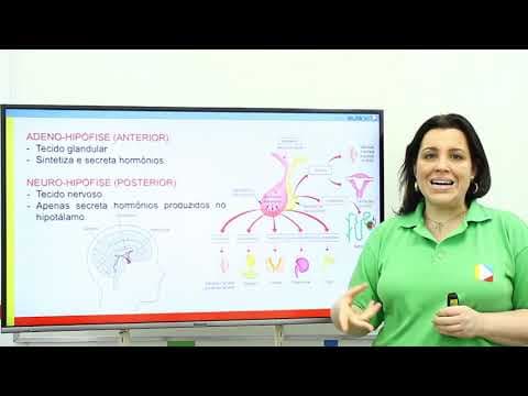 Thumbnail da aula: Biologia - Sistema Endócrino: Neuro-hipófise