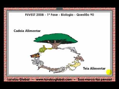 Thumbnail da aula: USP_2008_BIO_P1_Q90