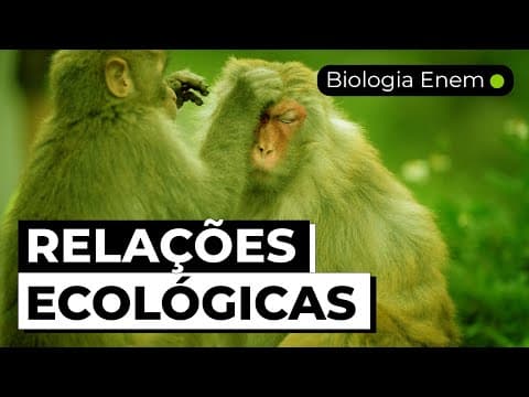 Thumbnail da aula: RELAÇÕES ECOLÓGICAS | Resumo de Biologia para o Enem