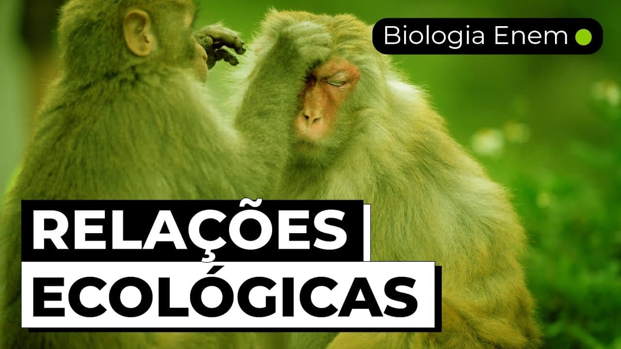 Thumbnail: RELAÇÕES ECOLÓGICAS | Resumo de Biologia para o Enem