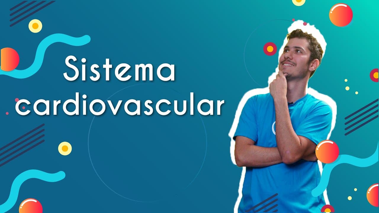 Thumbnail: Sistema cardiovascular - Brasil Escola