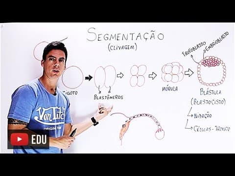 Thumbnail da aula: Embriologia humana