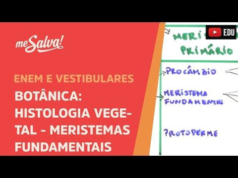 Thumbnail da aula: Me Salva! BOT16 - Botânica - Histologia vegetal: meristemas fundamentais