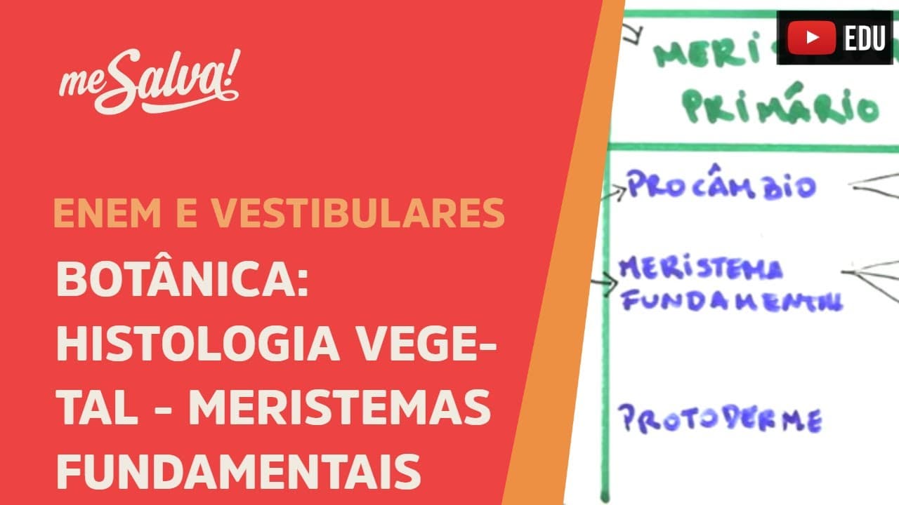 Thumbnail: Me Salva! BOT16 - Botânica - Histologia vegetal: meristemas fundamentais