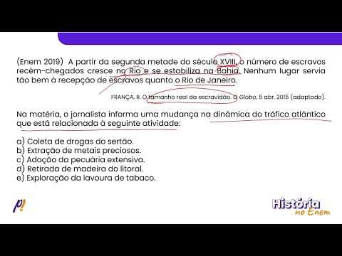 Thumbnail da aula: ENEM 2019 - BRASIL COLÔNIA | A partir da segunda metade do século XVIII, o número de escravos...