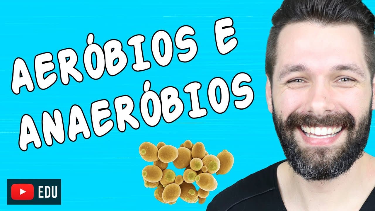 Thumbnail: ORGANISMOS AERÓBIOS E ANAERÓBIOS | Biologia com Samuel Cunha