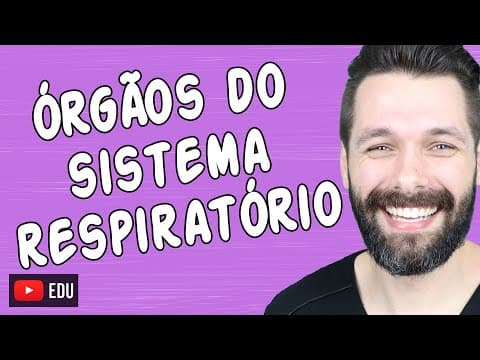 Thumbnail da aula: ÓRGÃOS DO SISTEMA RESPIRATÓRIO E SUAS FUNÇÕES | Biologia com Samuel Cunha