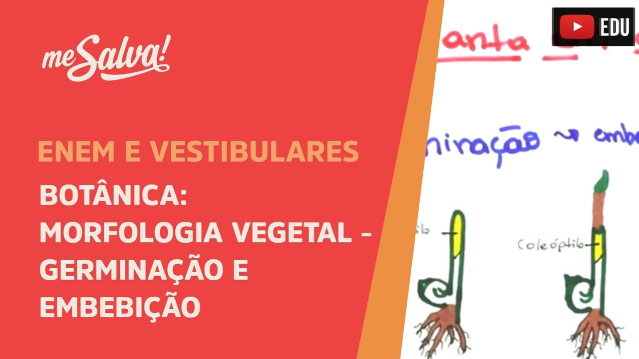 Thumbnail: Me Salva! BOT36 - Botânica - Morfologia vegetal: germinação e embebição