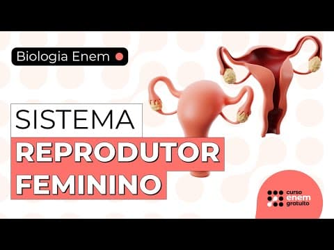Thumbnail da aula: SISTEMA REPRODUTOR FEMININO | Resumo de Biologia para o Enem. Professora Juliana Evelyn