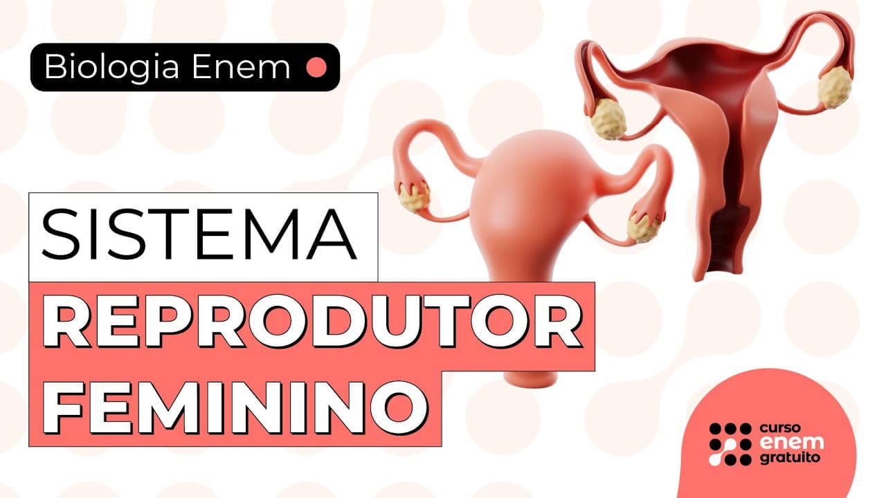 Thumbnail: SISTEMA REPRODUTOR FEMININO | Resumo de Biologia para o Enem. Professora Juliana Evelyn