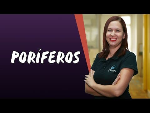 Thumbnail da aula: Poríferos - Brasil Escola