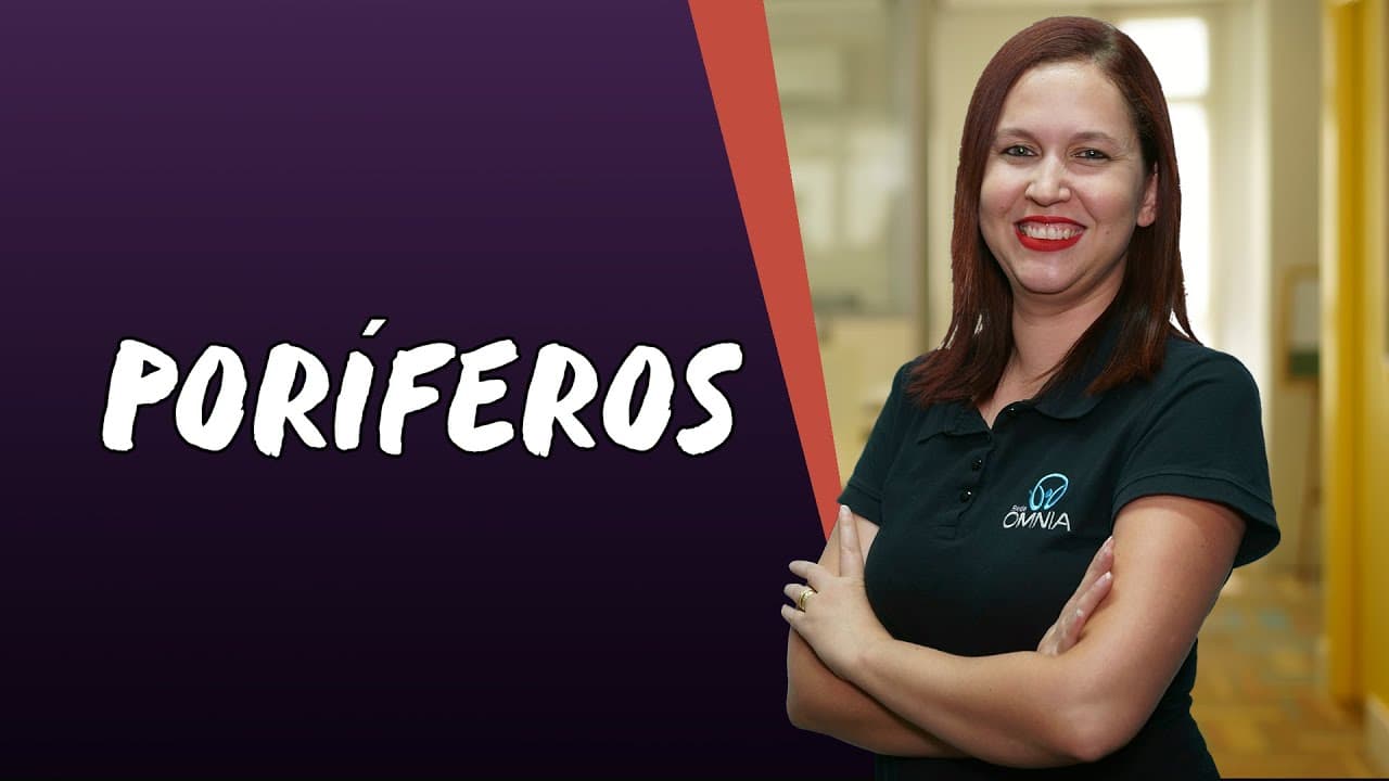 Thumbnail: Poríferos - Brasil Escola
