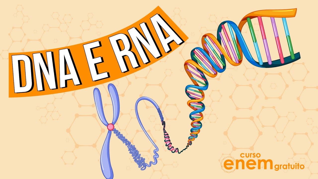 Thumbnail: DNA E RNA: o que são; funções e diferenças | RESUMO DE BIOLOGIA ENEM