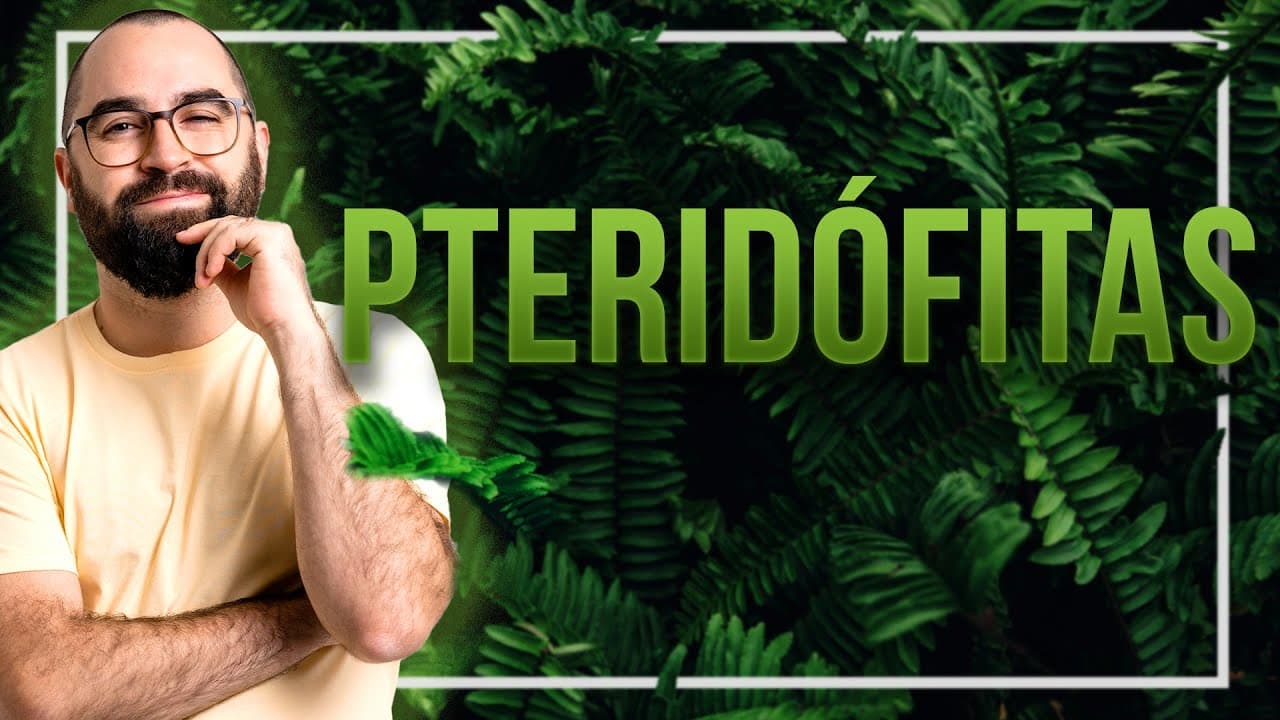 Thumbnail: Pteridófitas - Aula 03 - Módulo 5: Botânica