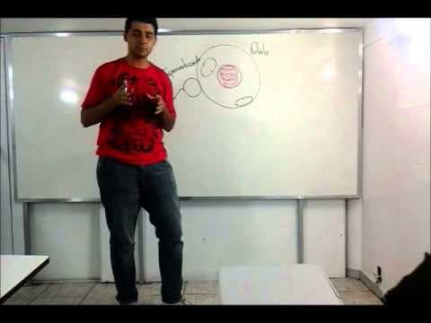 Thumbnail da aula: Resolução de Exercício de Biologia ENEM 2013