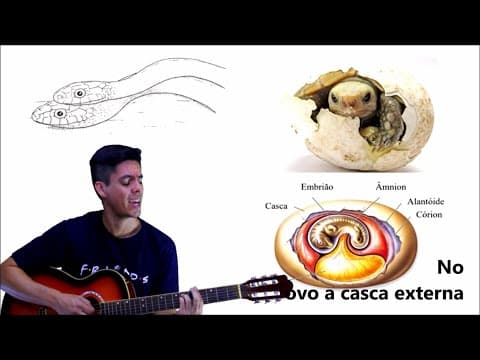 Thumbnail da aula: Paródia Cordados - Professor Gustavo Schmidt