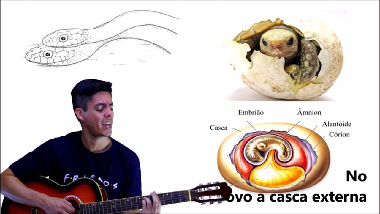 Thumbnail: Paródia Cordados - Professor Gustavo Schmidt