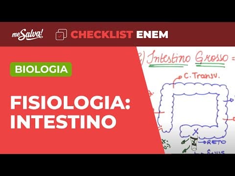Thumbnail da aula: Fisiologia: Sistema Digestório - Biologia | Checklist ENEM | Me Salva!
