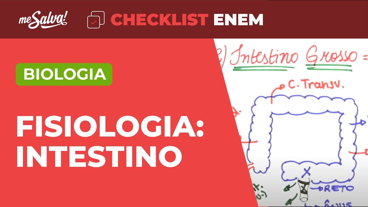 Thumbnail: Fisiologia: Sistema Digestório - Biologia | Checklist ENEM | Me Salva!