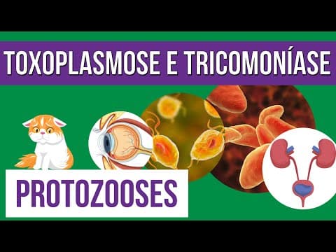 Thumbnail da aula: TOXOPLASMOSE e TRICOMONÍASE: Protozooses | Resumo de Biologia para o Enem | Cláudia de Souza Aguiar
