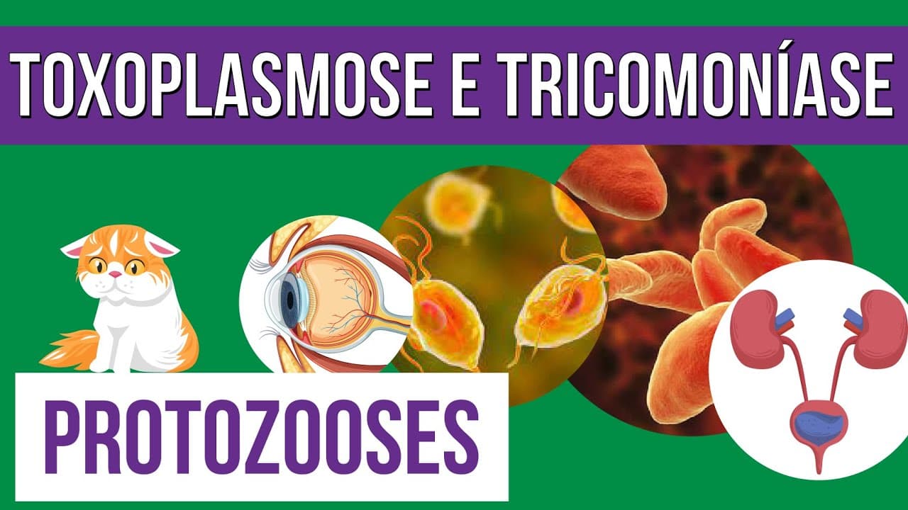Thumbnail: TOXOPLASMOSE e TRICOMONÍASE: Protozooses | Resumo de Biologia para o Enem | Cláudia de Souza Aguiar