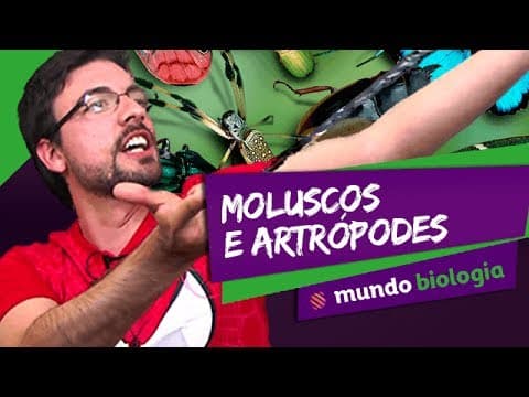 Thumbnail da aula: 🐍 Zoologia (4/6): Moluscos e Artrópodes - Biologia - ENEM