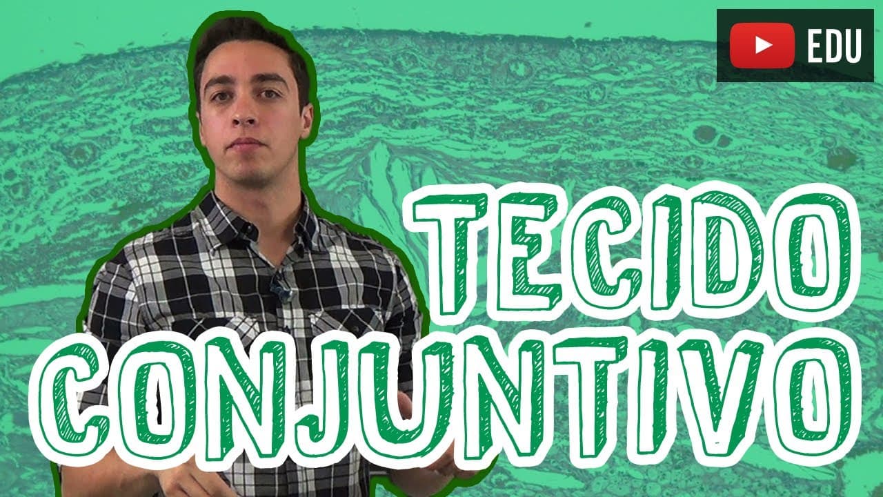 Thumbnail: Aula Biologia - Histologia - Tecido Conjuntivo para o Enem e Vestibulares - STOODI