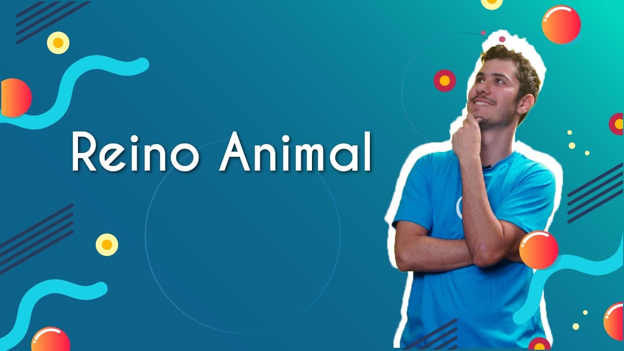 Thumbnail: Reino Animal - Brasil Escola