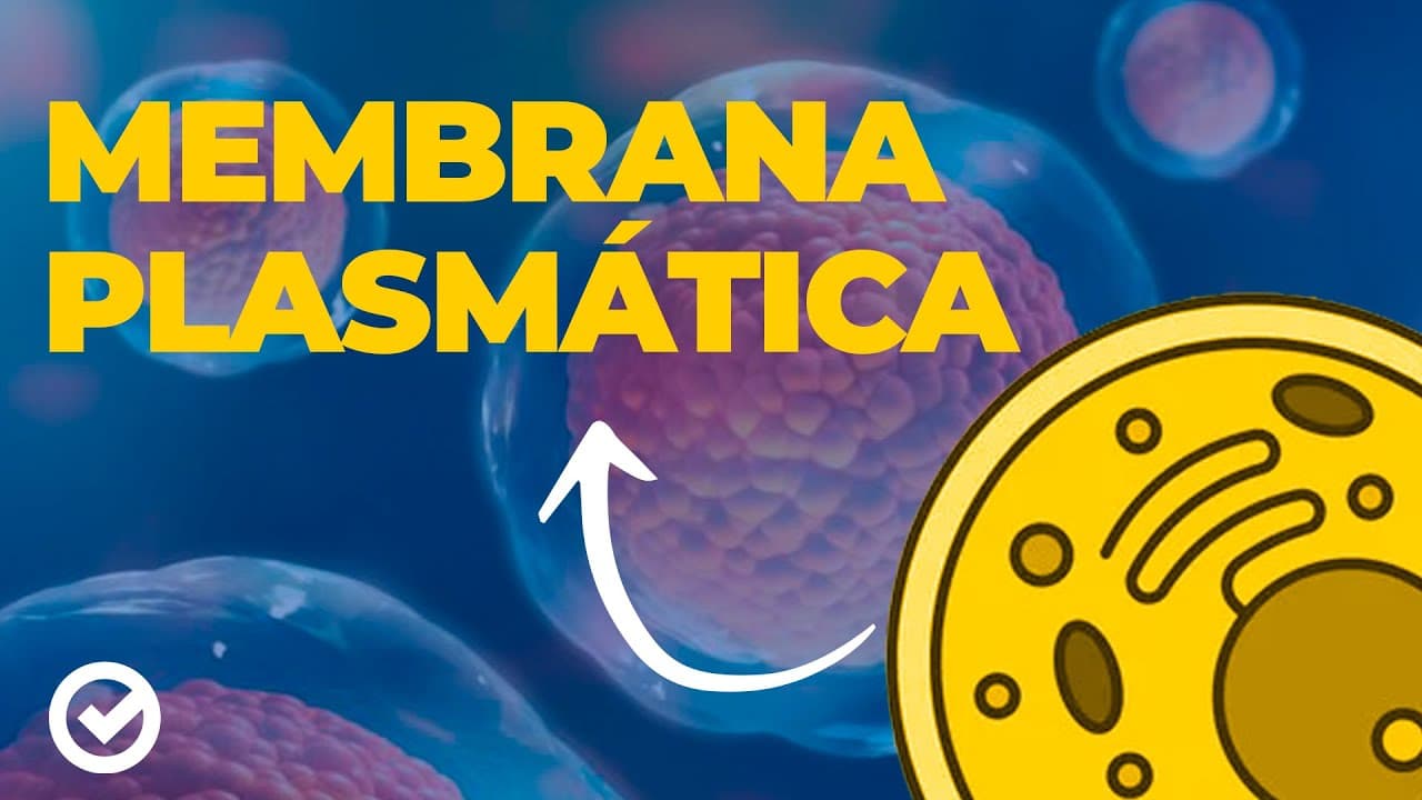 Thumbnail: Acelere no ENEM - Membrana Plasmática: Transporte Ativo e Passivo
